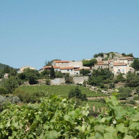 Villa Cécile Montgaillard  Esterno foto