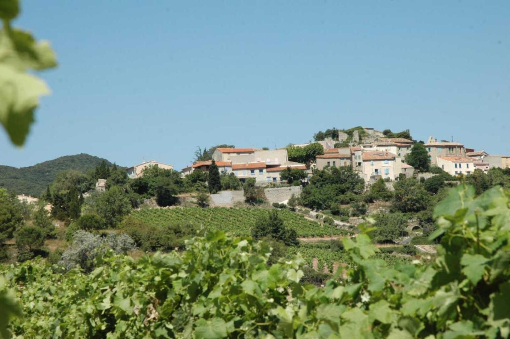 Villa Cécile Montgaillard  Esterno foto