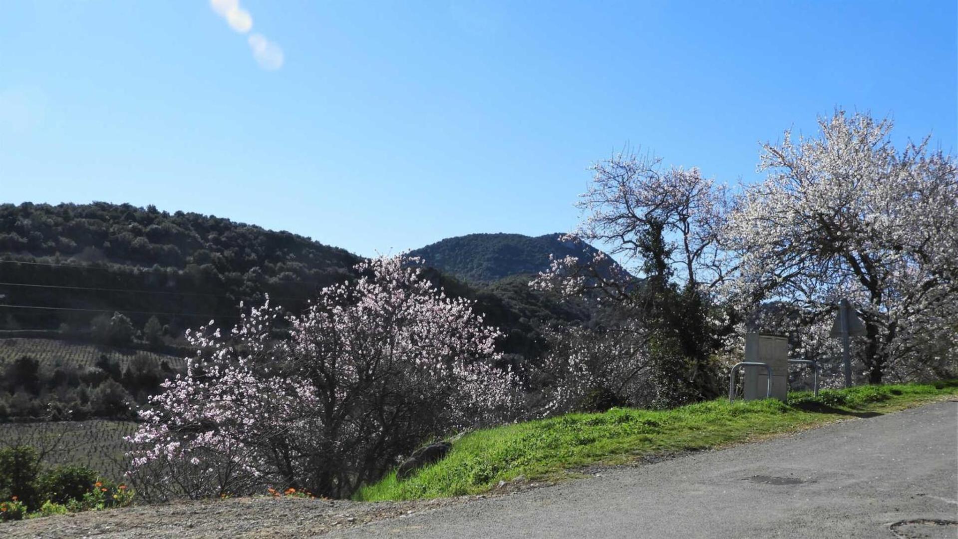Villa Cécile Montgaillard  Esterno foto